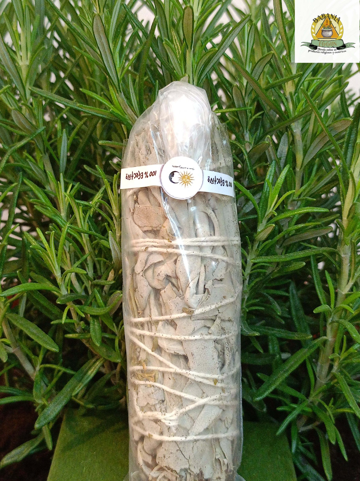 ATADO DE SALVIA Y RUDA MINI