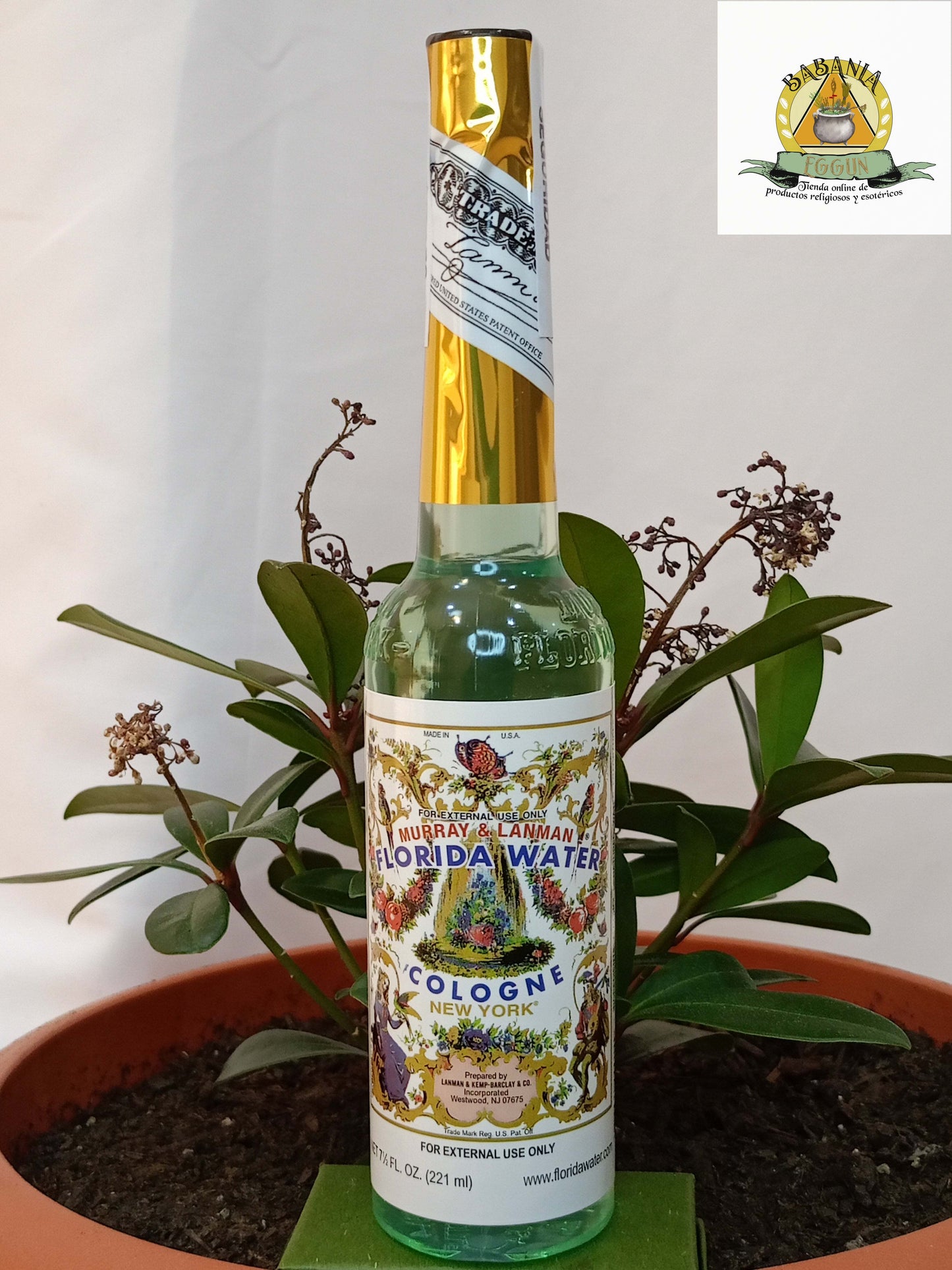 COLONIA AGUA FLORIDA MURRAY & LANMAN 221ML